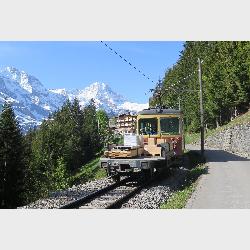 398052-ch-2018-trat-blm-u-mürren.-vlak